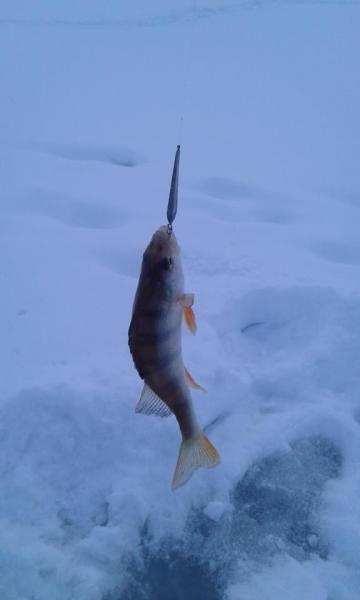 20161113_101136.jpg
