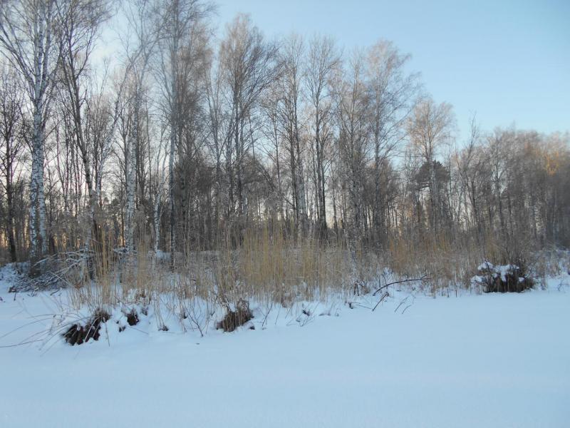 DSCN0193.JPG