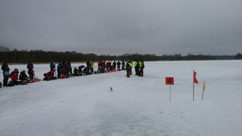 IMG-20170219-WA0004.jpg