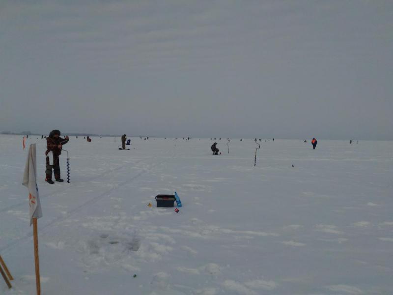 P_20160221_093215.jpg