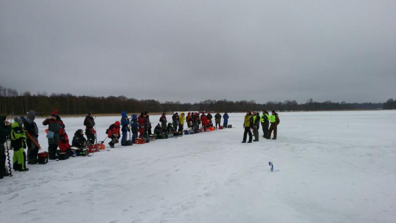IMG-20170219-WA0002.jpg