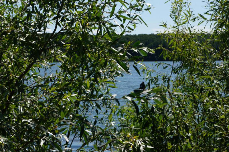 DSC07998.JPG