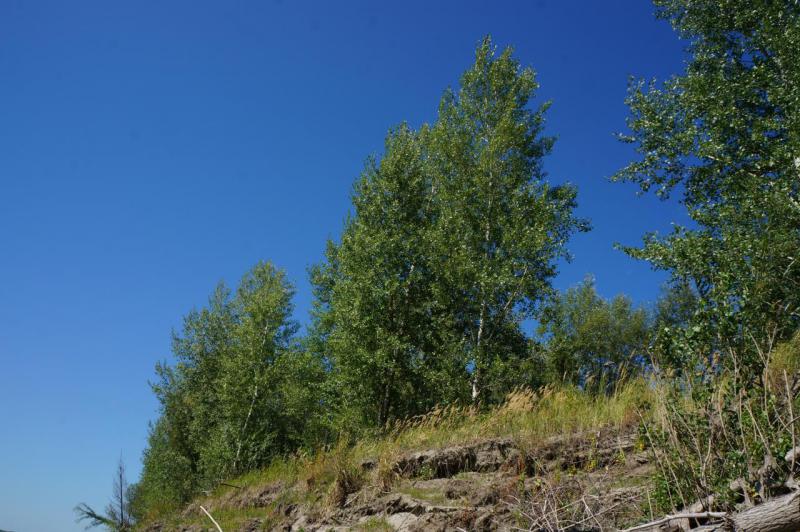 DSC08069.JPG