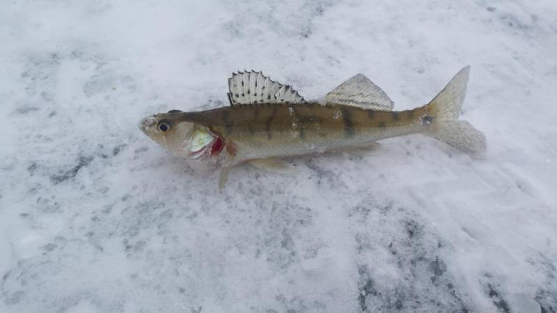 20151213_125131.jpg