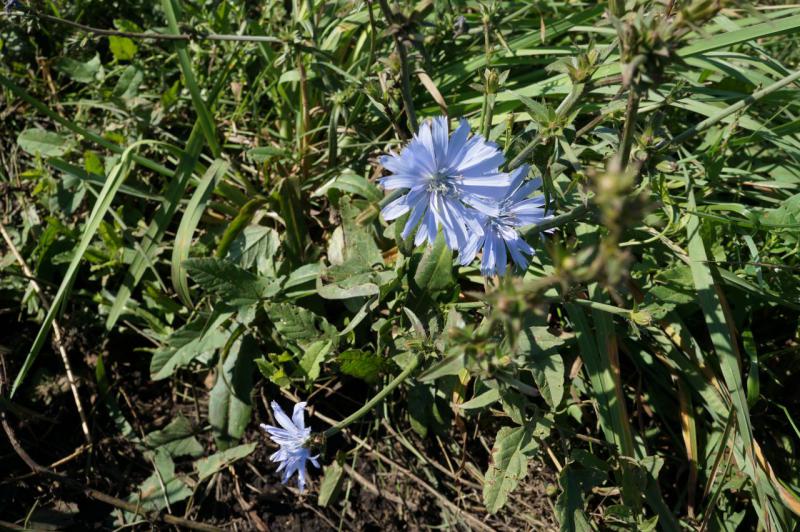 DSC08006.JPG