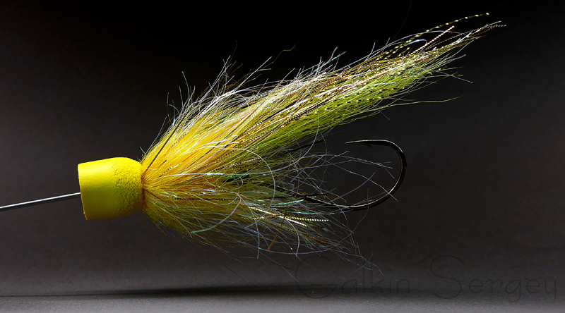 P1240182 (копия)2.JPG