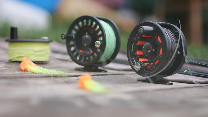 P1160513 (копия).jpg