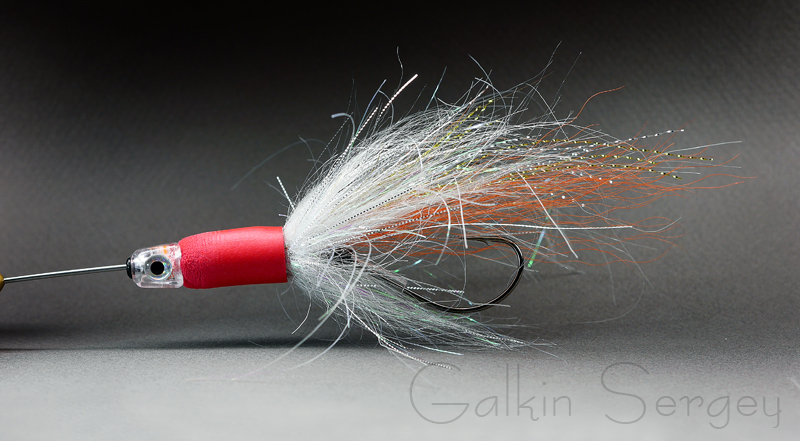 P1240030 (копия)2.JPG