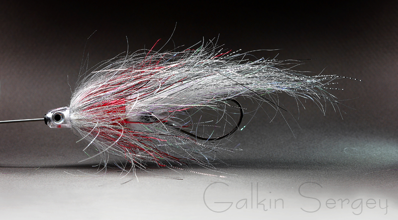 P1240087 (копия)2.JPG