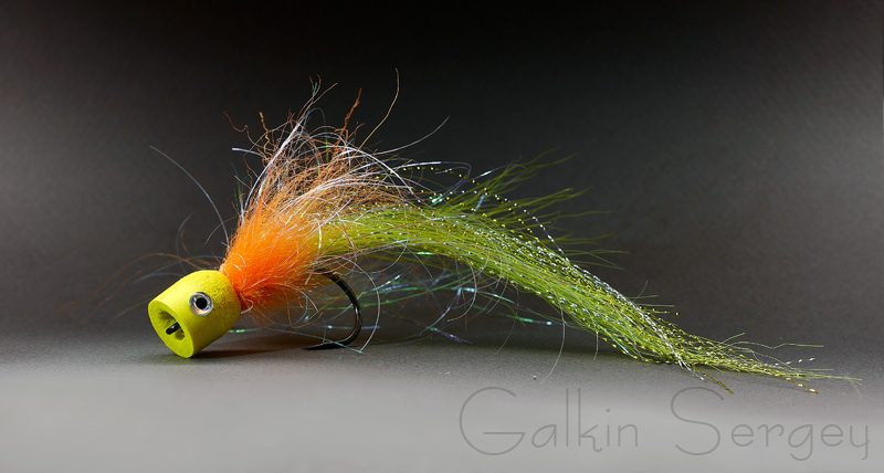 P1240009 (копия)2.jpg