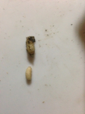 image-21-08-16-23-20.jpeg