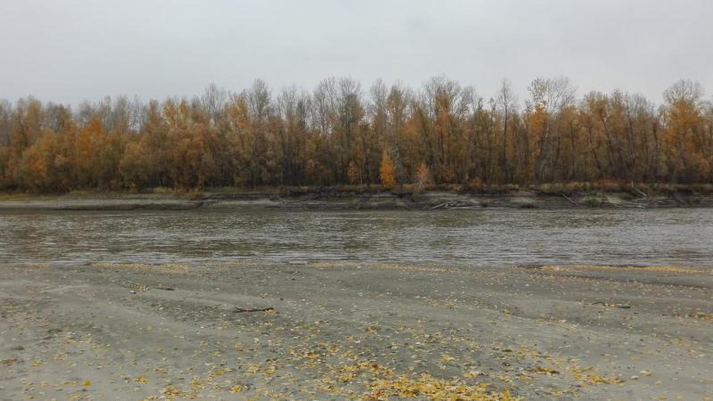 IMG_20151003_171104.jpg