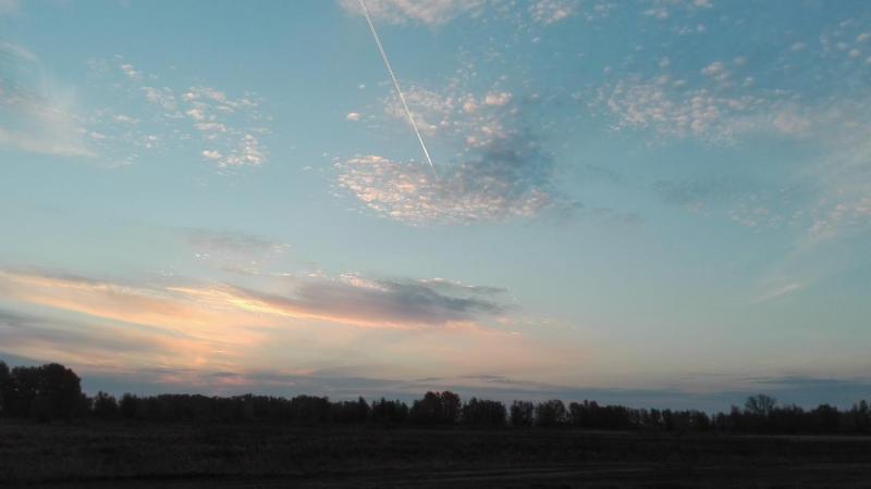 IMG_20151003_064117.jpg