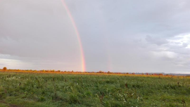 IMG_20150815_194227.jpg