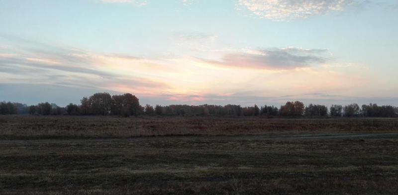 IMG_20151003_064131.jpg