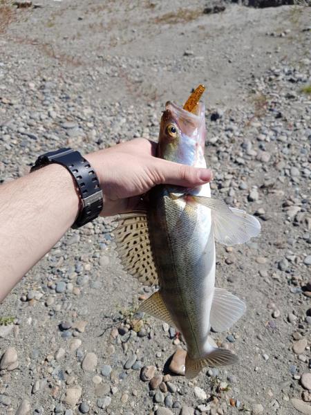 20160826_144409.jpg