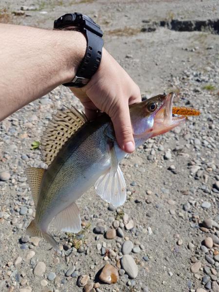 20160826_144414.jpg