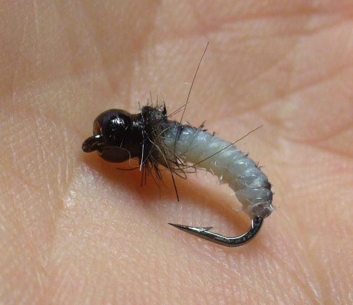 Гамма Ручейник.jpg