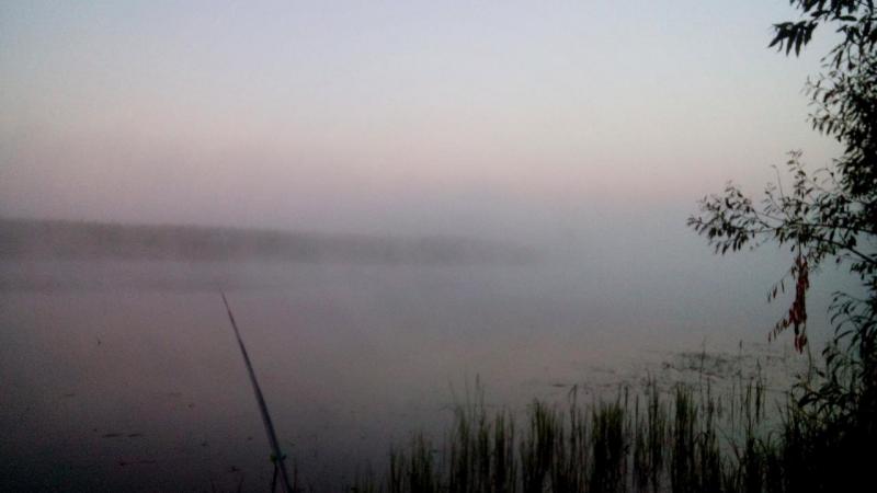 IMG_20150719_162136.JPG