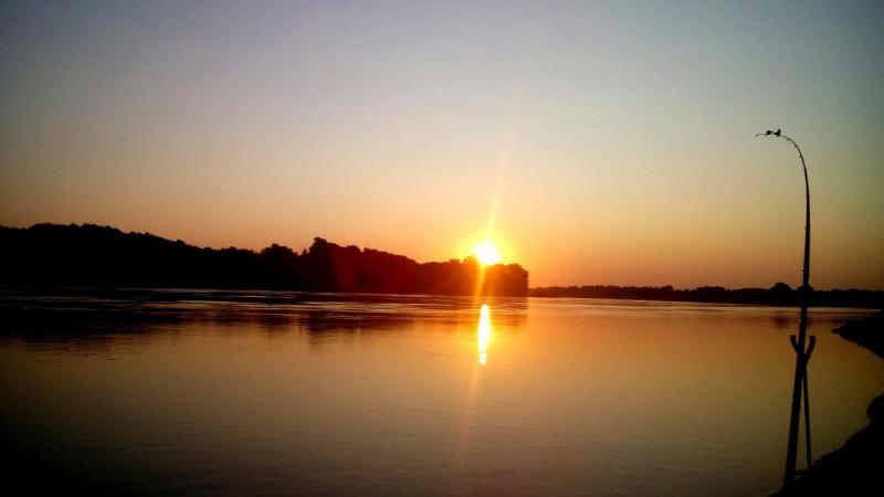 IMG_20150718_102220.JPG