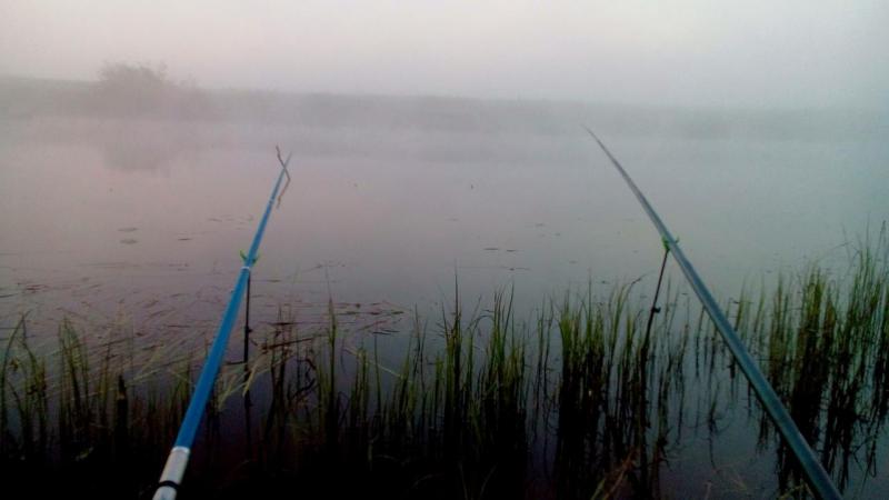 IMG_20150719_161901.JPG