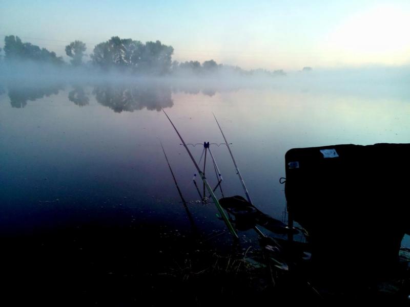 IMG_20160826_094608.JPG