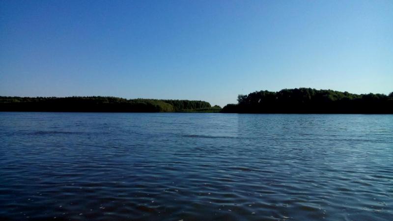 IMG_20150709_160813.JPG