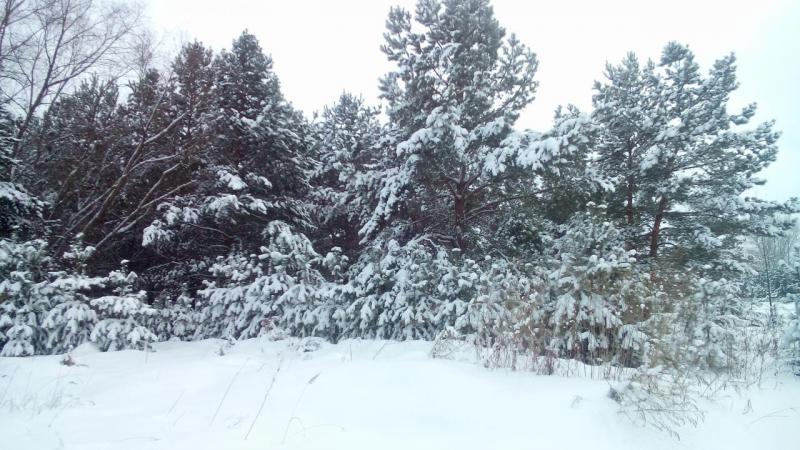 IMG_20161112_142914.JPG