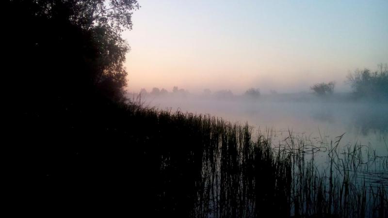 IMG_20150719_161820.JPG