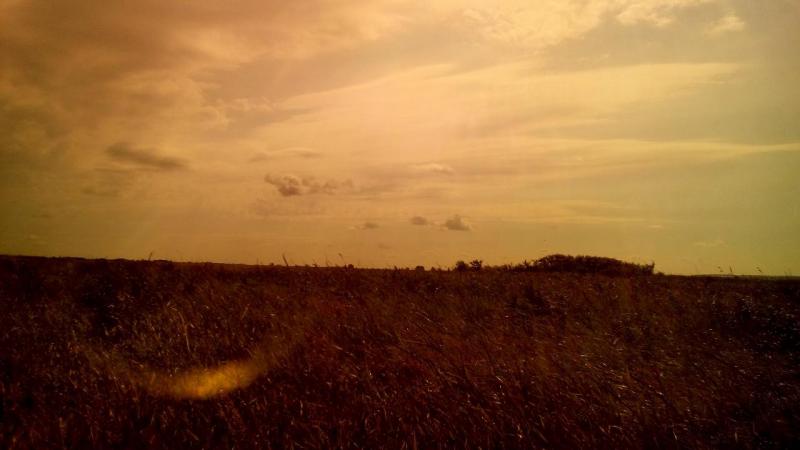 IMG_20150723_125557.JPG