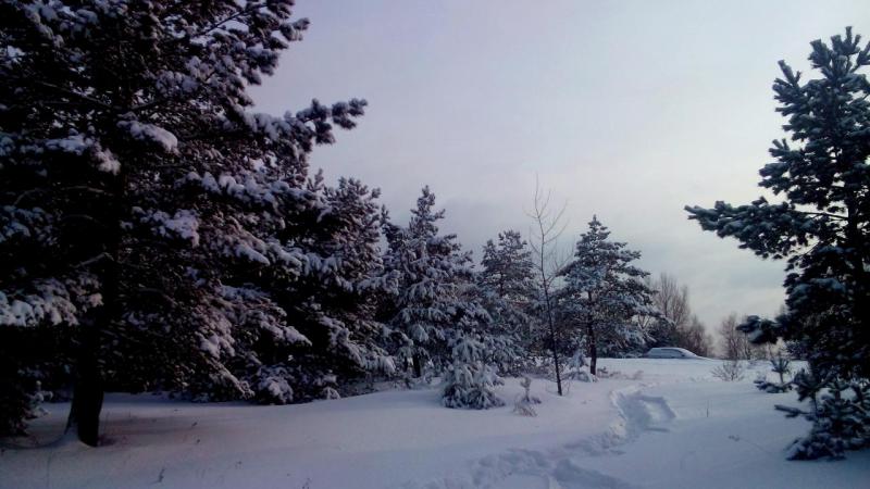 IMG_20161217_150127.JPG