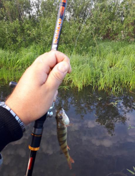 2017-07-19 07-11-52.JPG