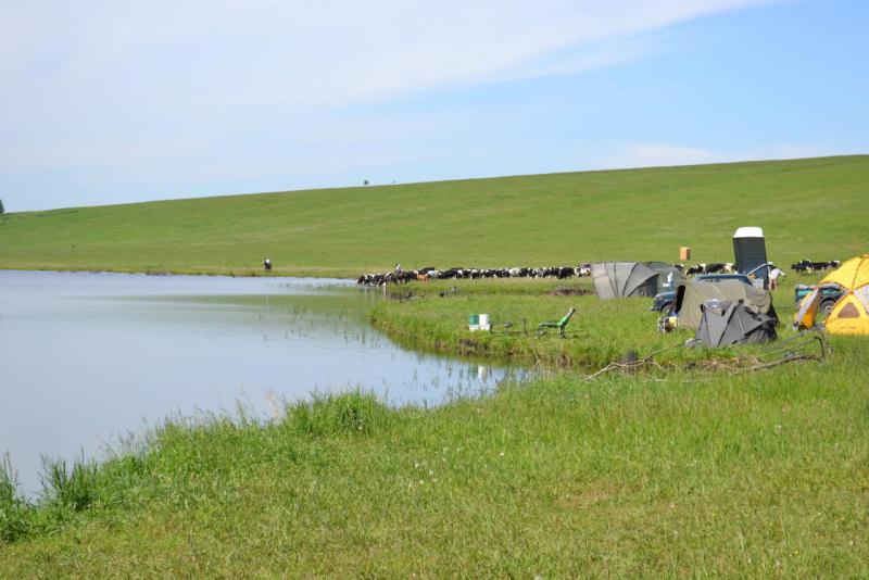 DSC_0362.JPG