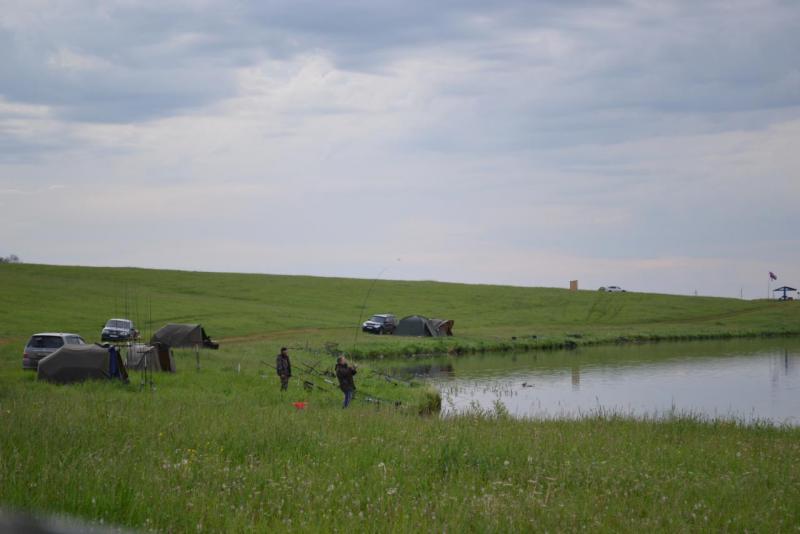 DSC_0349.JPG