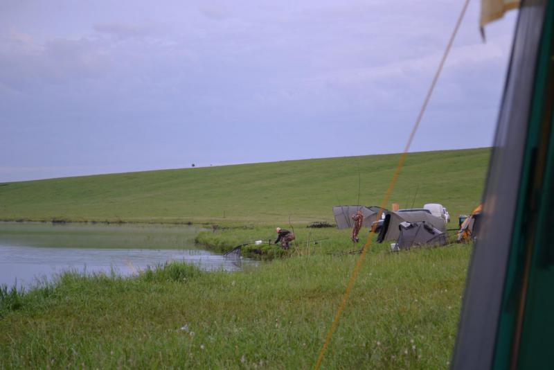 DSC_0338.JPG