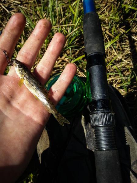 20150504_113045.jpg