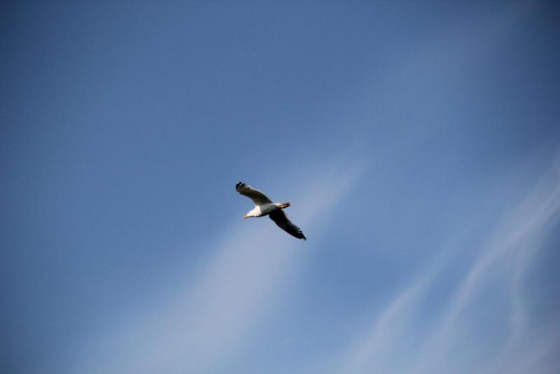 IMG_5163.jpg