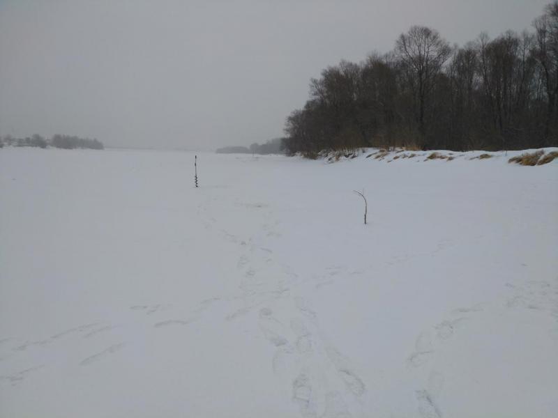 IMG_20161218_100237.jpg