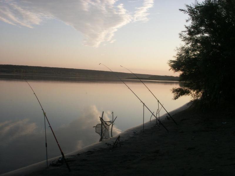PICT0743.JPG