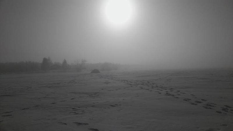 IMG_20170305_102439.jpg