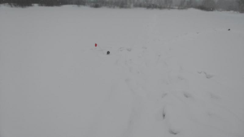 IMG_20170217_151212.jpg