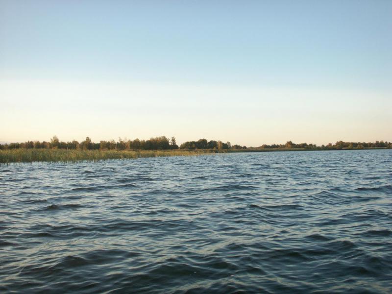 PICT0828.JPG