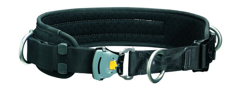 PETZL-CIP-страховочный-пояс-(C93 FR)_enl.jpg