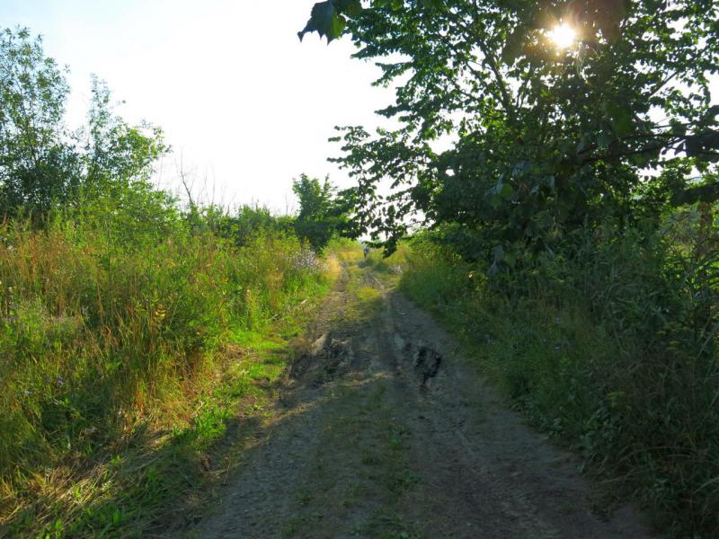 IMG_1529.JPG