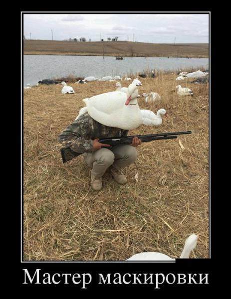 WhatsApp Image 2017-06-28 at 09.39.26.jpeg