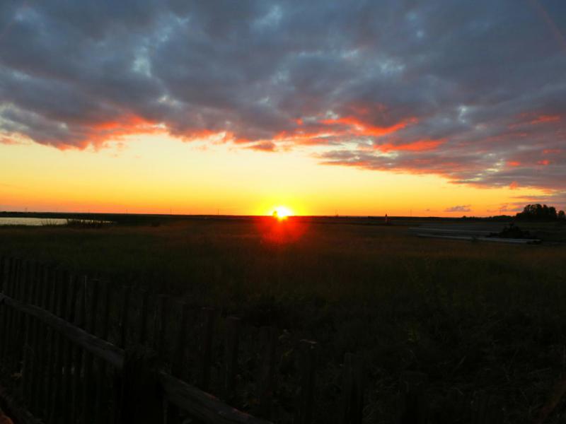 IMG_1463.JPG
