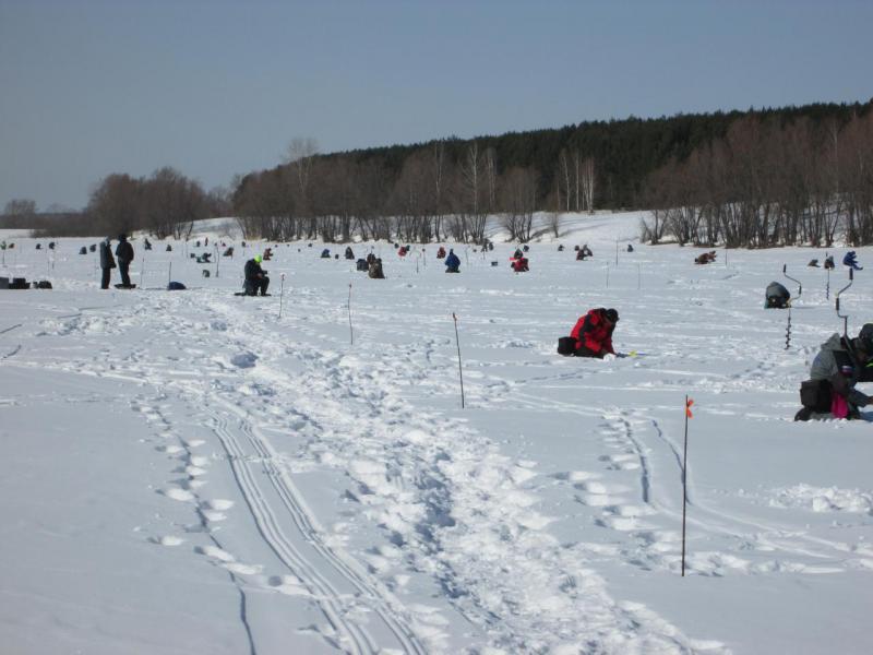 IMG_2587.JPG