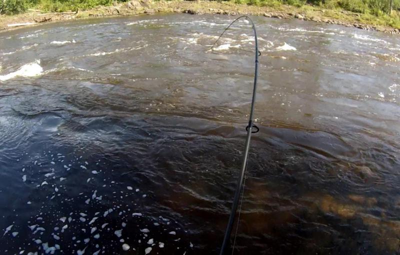 G0070664.MP4_snapshot_04.42_2015.08.11_18.11.26.jpg