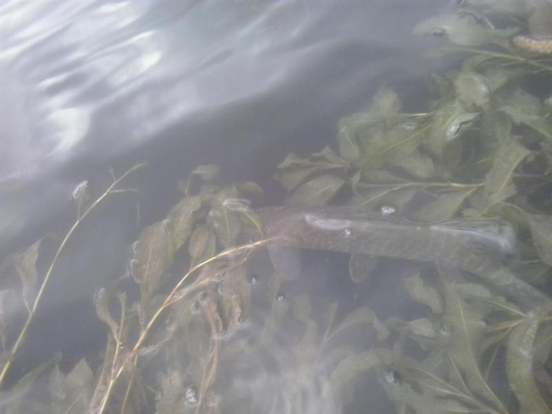 20150906_092214.jpg