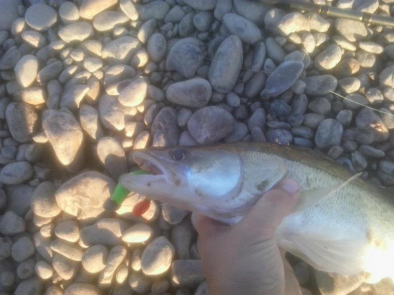 20160922_181257.jpg